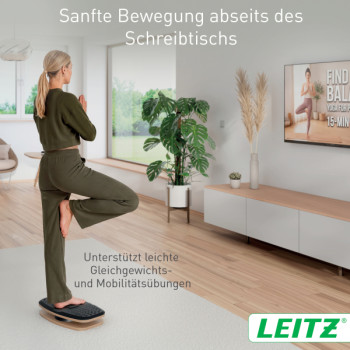 Leitz Ergo 360 Active Balance Board