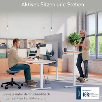 Leitz Ergo 360 Active Balance Board
