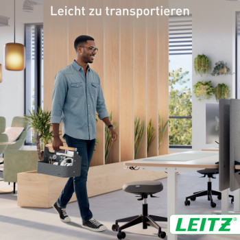 Leitz Schreibtisch Organizer mit Griff, aus Filz