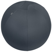 Leitz Ergo Cosy Active Sitzball für aktives Sitzen