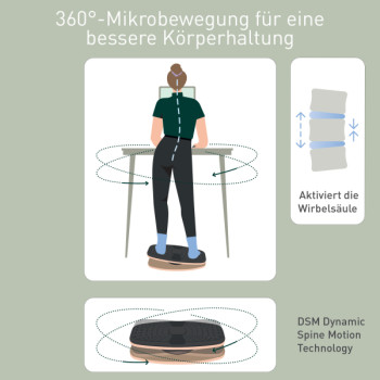 Leitz Ergo 360 Active Balance Board