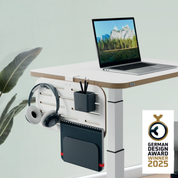 Leitz Ergo Kleiner Pegboard-Schreibtisch-Organizer, 42x25 cm