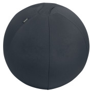 Leitz Ergo Active Sitzball mit Anti-Wegroll-Design, 55cm