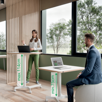 Leitz Ergo Compact Workstation Kleiner Höhenverstellbarer Sitz-/Steh-Schreibtisch