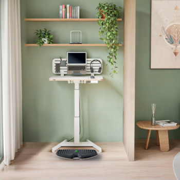 Leitz Ergo Active Balance Board