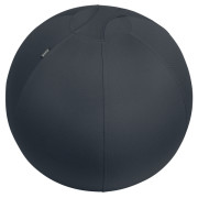 Leitz Ergo Active Sitzball mit Anti-Wegroll-Design, 65cm