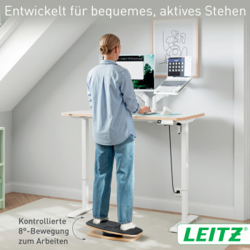 Leitz Ergo 360 Active Balance Board