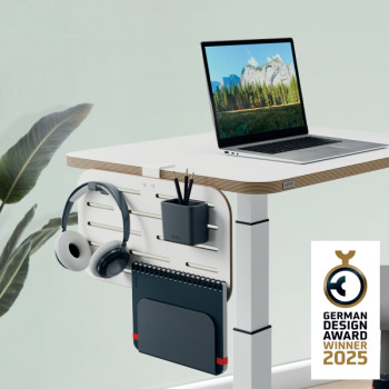 Leitz Ergo Kleiner Pegboard-Schreibtisch-Organizer, 42x25 cm